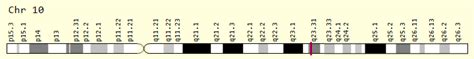 RNLS Gene .